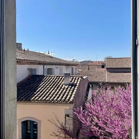 Stylish With Balcony - Very - Long And Pets Welcome